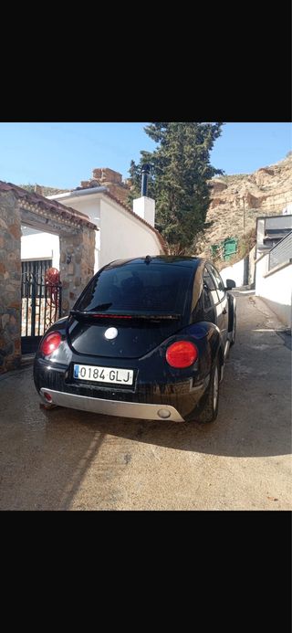 Beetle Beetle 2004