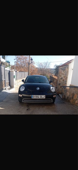 Beetle Beetle 2004