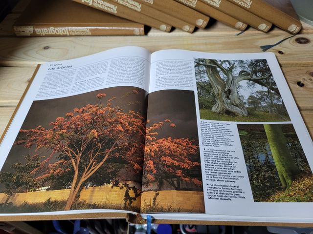 Enciclopedia fotografía años 90