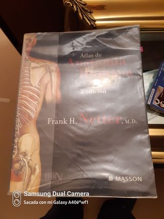 Anatomía netter