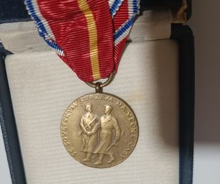 Medalla Paso del Dukla Checa WW2
