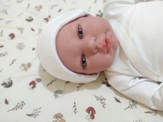 ¡¡¡ BEBÉ REBORN !!!