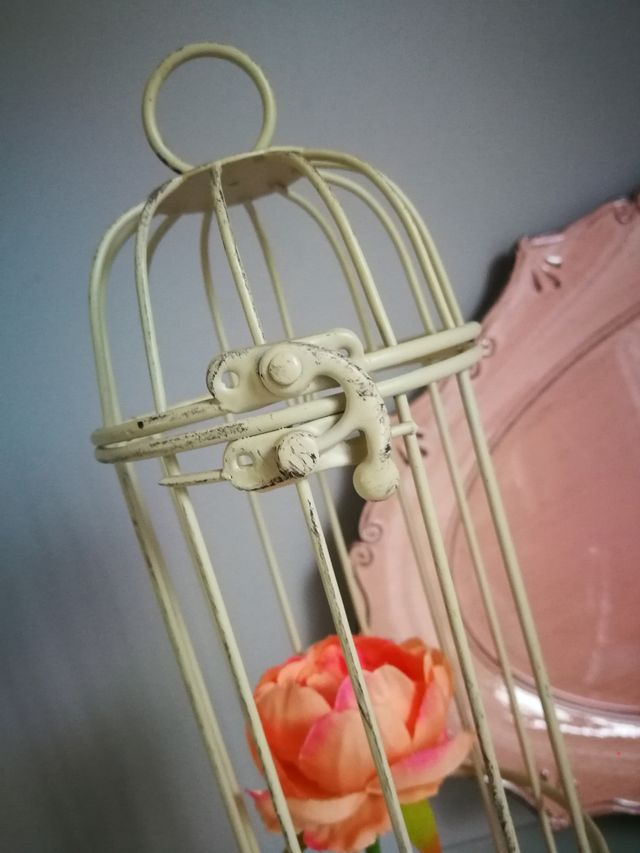 Gabbietta decorattiva