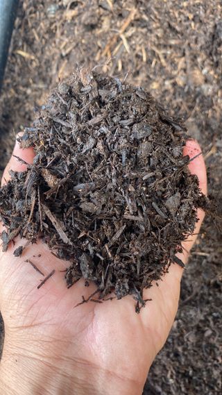 Compost