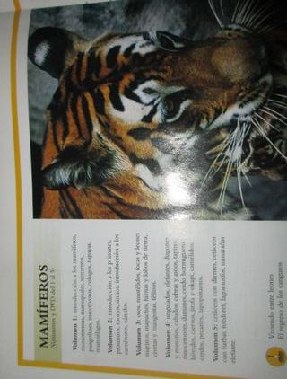 ANIMALES NATIONAL GEOGRAPHIC