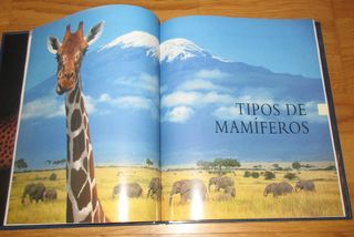 ANIMALES NATIONAL GEOGRAPHIC