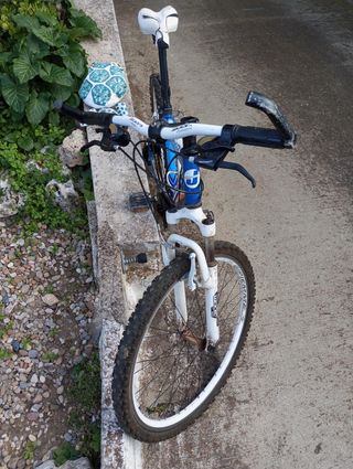 BICICLETA DE MONTAÑA