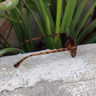 Gafas de sol redondas leopardo marrones y azules