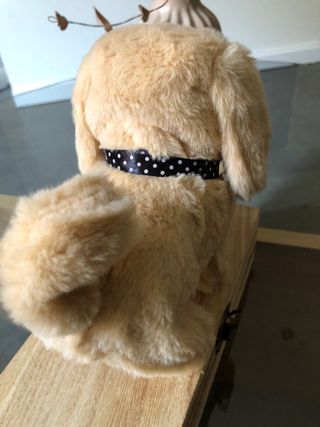 Perro de juguete que anda y ladra, Nuevo