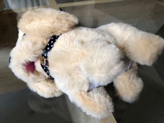 Perro de juguete que anda y ladra, Nuevo