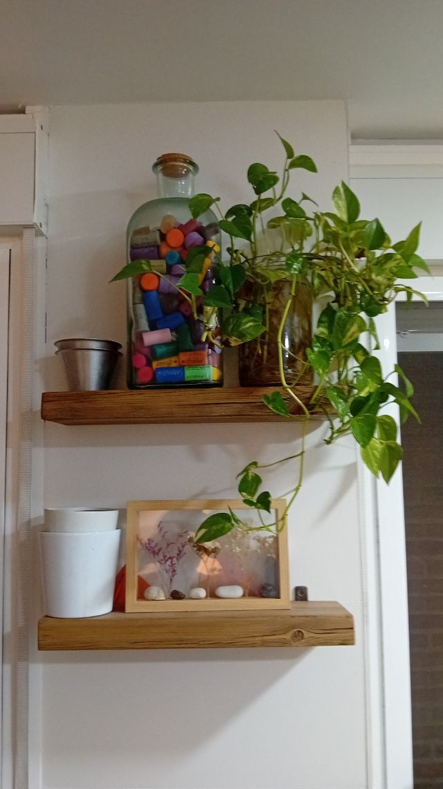 Bricolajes del hogar y portes