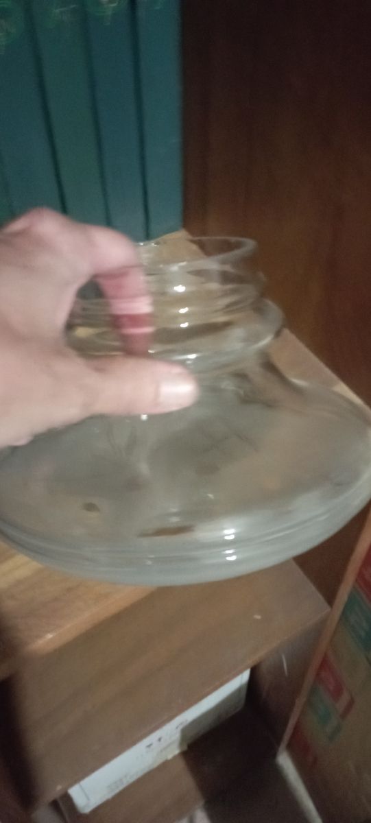 Tulipa/globo lámpara