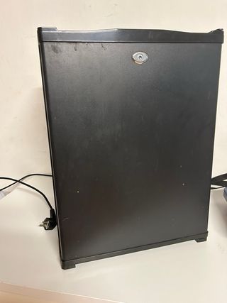 Mini nevera 