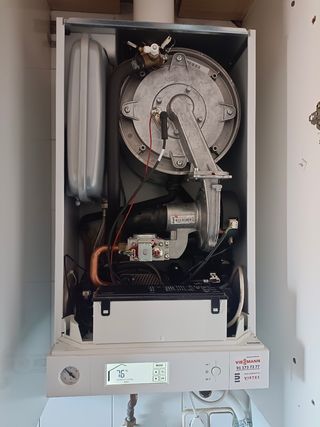 Técnico profesional