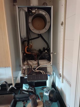 Técnico profesional