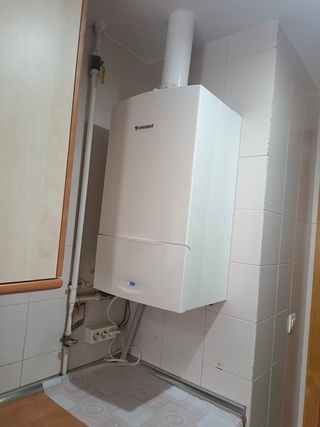 Técnico profesional