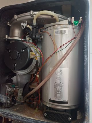 Técnico profesional