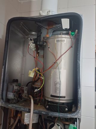 Técnico profesional