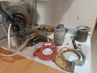 Técnico profesional