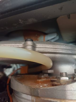 Técnico profesional