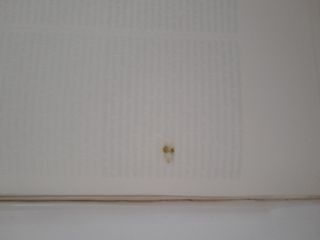 Libro scolastico Storia della Filosofia