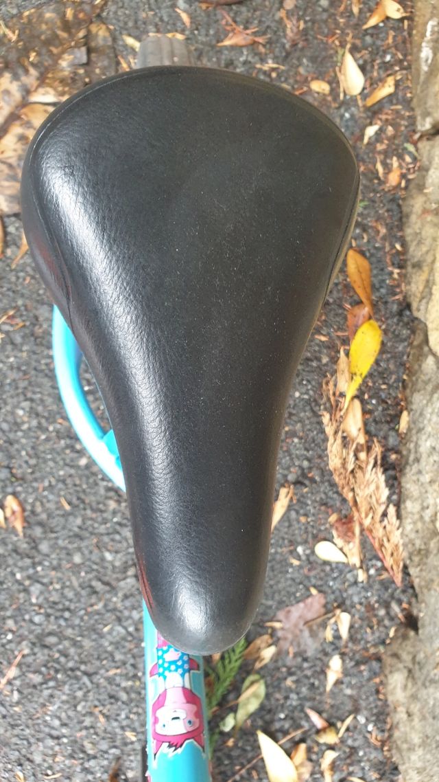 Bicicletta bambino/a senza pedali