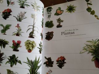 El libro de las plantas
