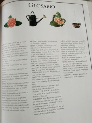 El libro de las plantas