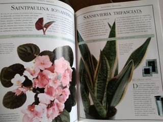 El libro de las plantas