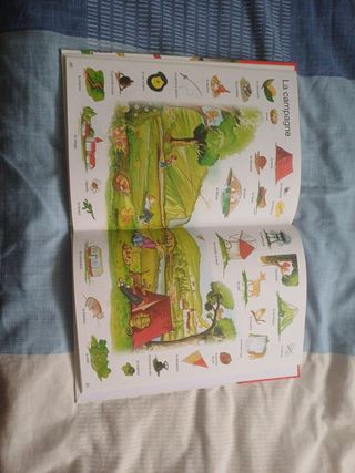 Mi Primer Diccionario de Francés