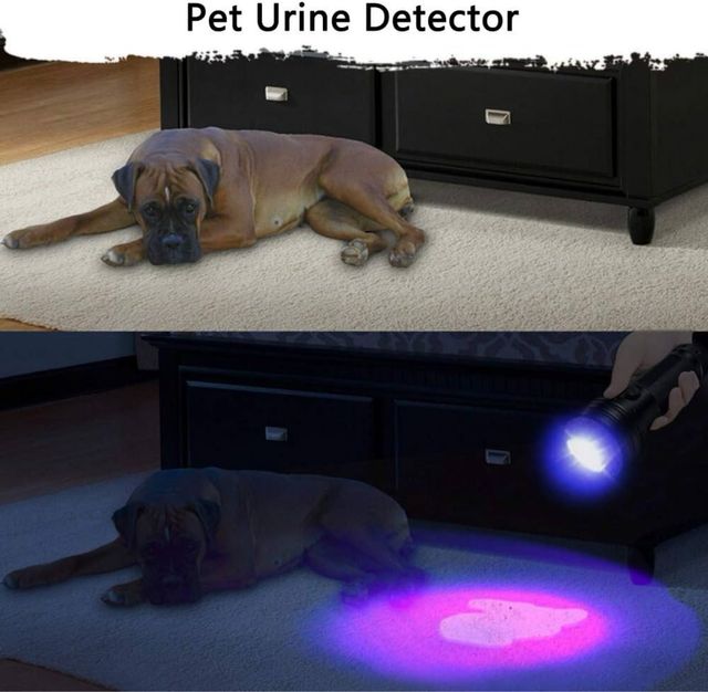 Torcia UV 51 led professionale