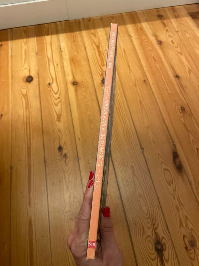 El secreto de la roca negra. libro ilustrado.