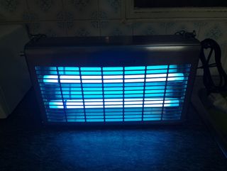 Exterminador de insectos