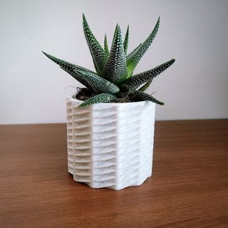 Maceta MX 03 Testo