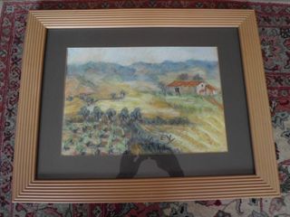 Cuadro e. yunta fincas , campo