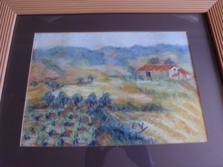 Cuadro e. yunta fincas , campo