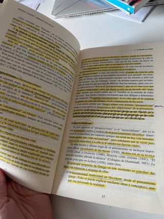 Ortega : meditación sobre la técnica