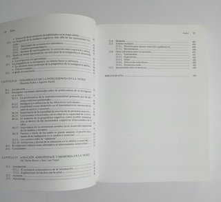 Desarrollo Cognitivo