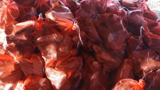 Sacos de leña Seca. Consulte puntos de venta