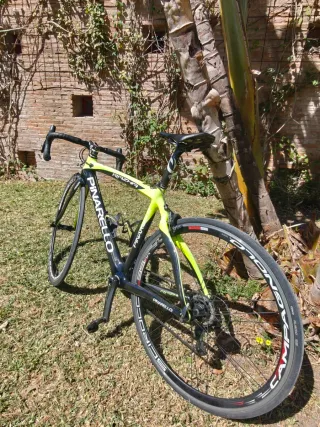 Pinarello Razha Talla 50 Carbono Shimano Ultegra 2