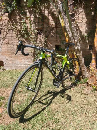 Pinarello Razha Talla 50 Carbono Shimano Ultegra 2