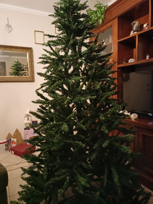 Albero di Natale