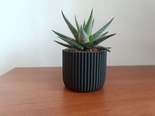 Maceta ML 02 Testo