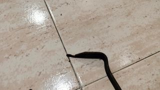 Utensilios de chimenea