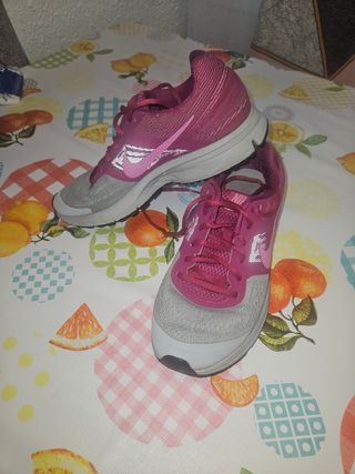 Nike zoom pegasus número 40
