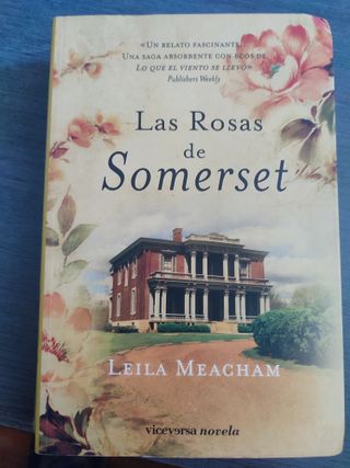 las rosas de somerset (Viceversa novela) (Spanish
