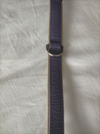 Flexi collare pelle viola