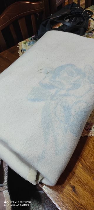 Coperta singola pura lana