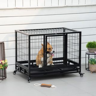 Gabbia Box per Cani Cuccioli da Interno Esterno co