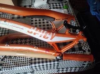 Cuadro lapierre spicy 316